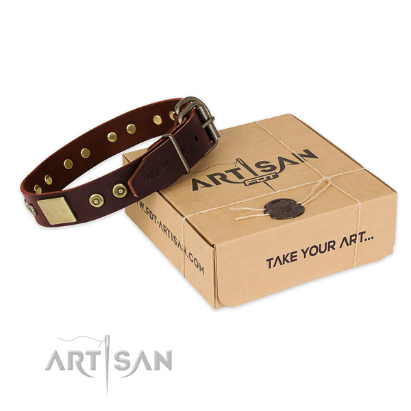 Strong studs on dog collar for daily use