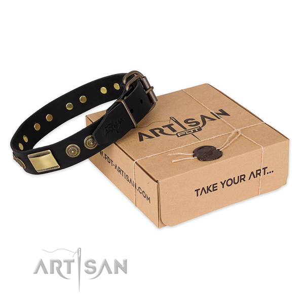 Strong buckle on leather dog collar for easy wearing