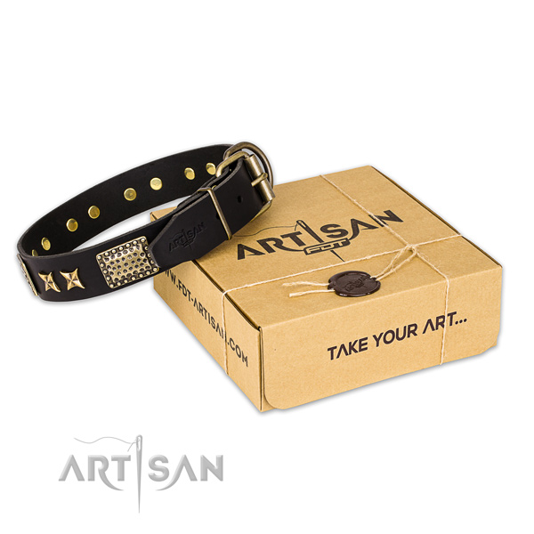 Reliable D-ring on natural genuine leather collar for your stylish dog