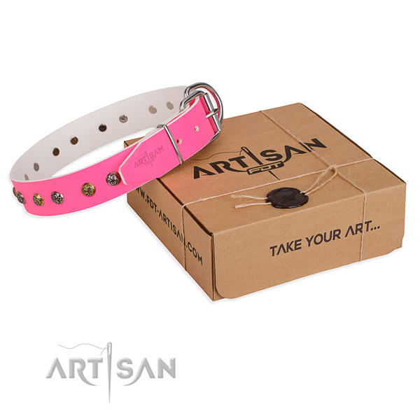 Walking dog collar with Unique rust resistant adornments