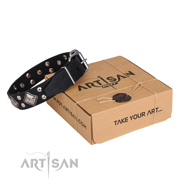 Walking dog collar with Unique rust resistant adornments