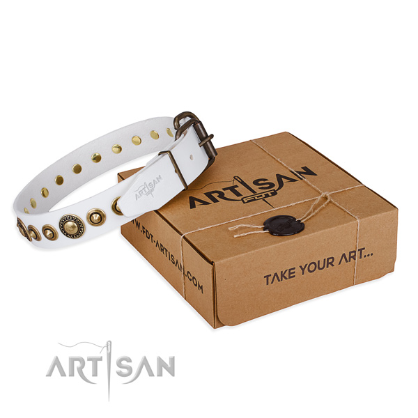 High quality leather dog collar crafted for walking