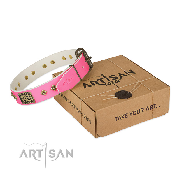 Corrosion resistant hardware on dog collar for everyday walking