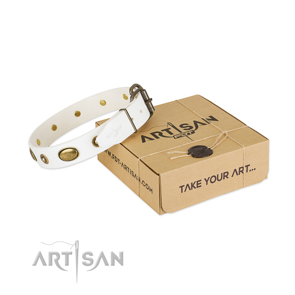 Fine quality full grain natural leather collar for your impressive doggie
