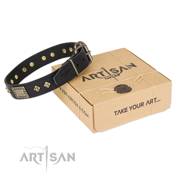 Unique leather collar for your stylish canine