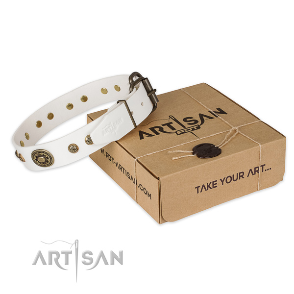 Strong hardware on full grain leather dog collar for basic training
