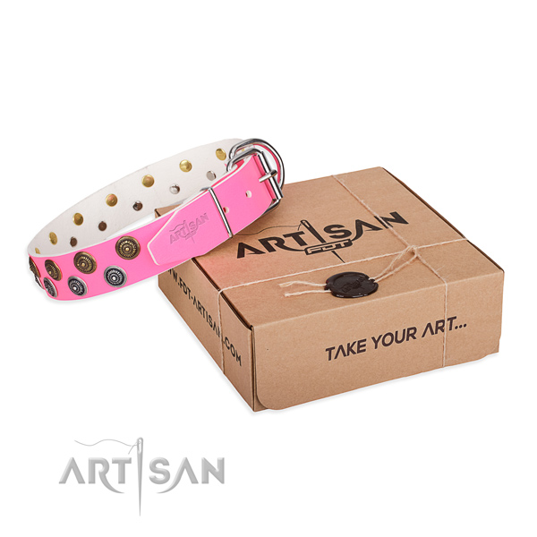 Walking dog collar of top notch genuine leather with studs