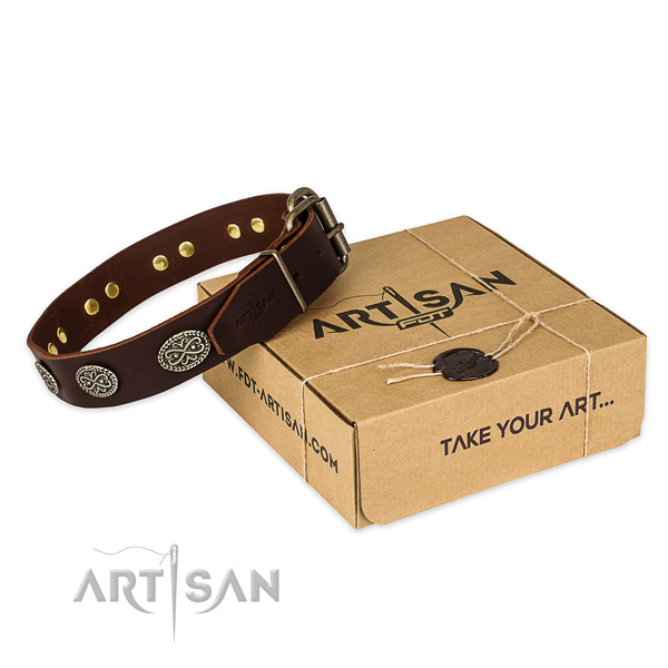 Strong D-ring on genuine leather collar for your handsome canine