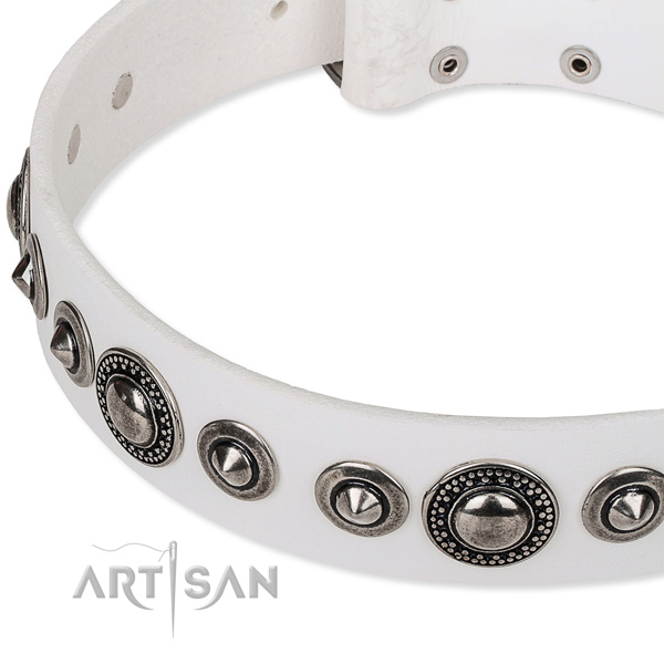 Everyday walking decorated dog collar of reliable full grain natural leather