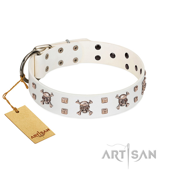 Unusual full grain natural leather collar for your beautiful pet