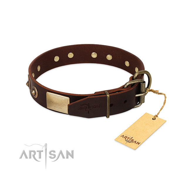 Rust resistant fittings on daily use dog collar