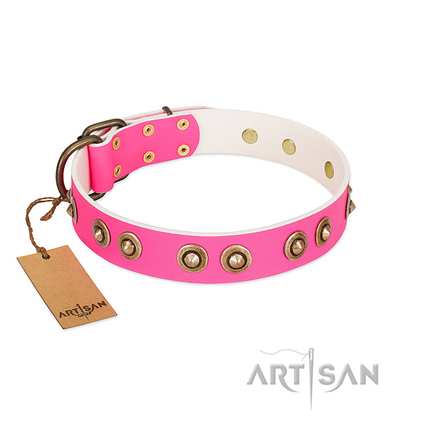 Amazing genuine leather dog collar for stylish walking