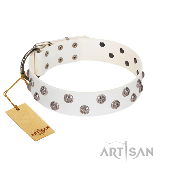 Best quality genuine leather dog collar with reliable hardware