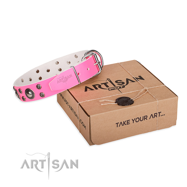 Everyday walking dog collar of top quality full grain genuine leather with studs