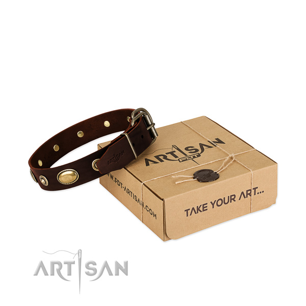 Rust-proof studs on genuine leather dog collar for your four-legged friend
