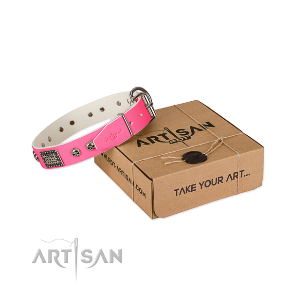 Rust-proof studs on dog collar for daily walking