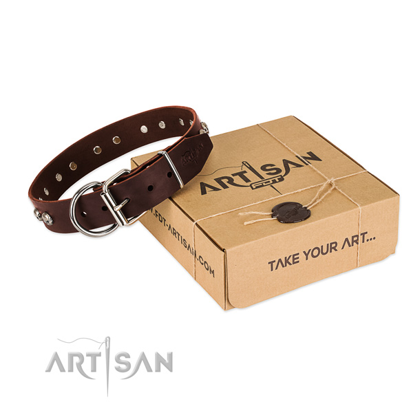 Rust-proof D-ring on dog collar for stylish walking
