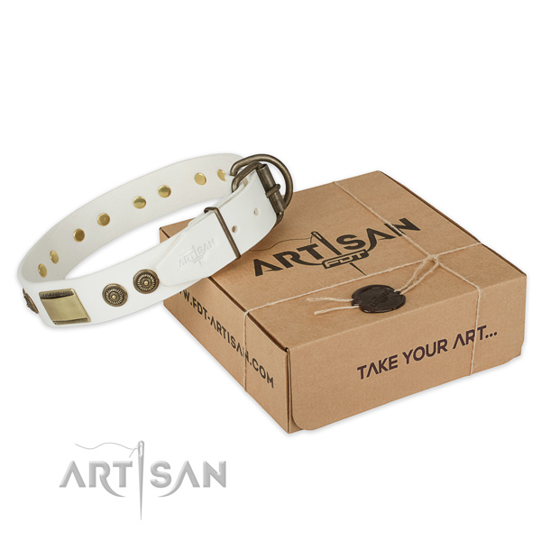 Strong D-ring on natural genuine leather dog collar for handy use