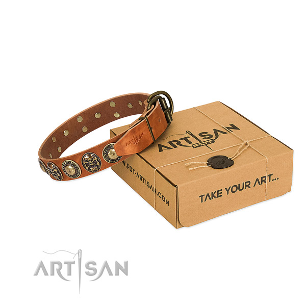 Rust-proof embellishments on dog collar for basic training