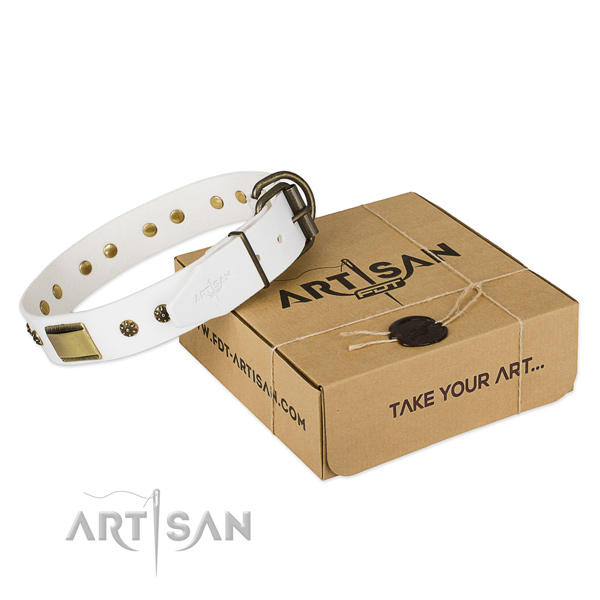 Comfortable full grain natural leather collar for your beautiful four-legged friend