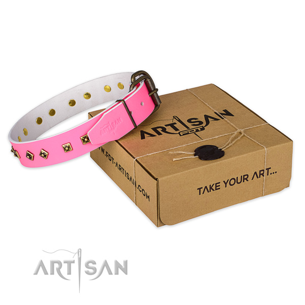 Rust-proof fittings on leather dog collar for fancy walking