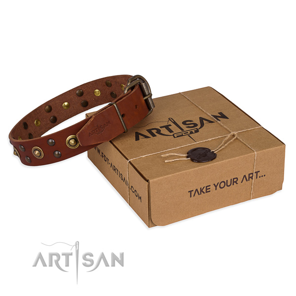 Reliable D-ring on leather collar for your handsome canine
