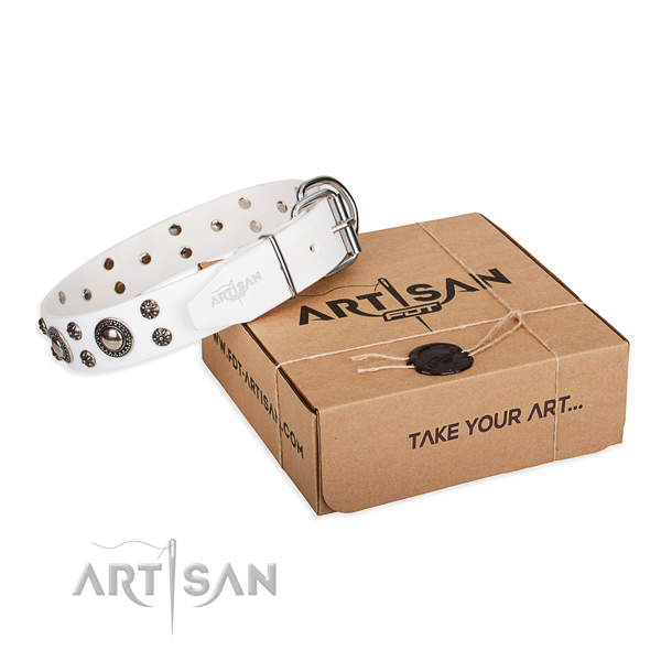 Fancy walking dog collar of durable leather with adornments