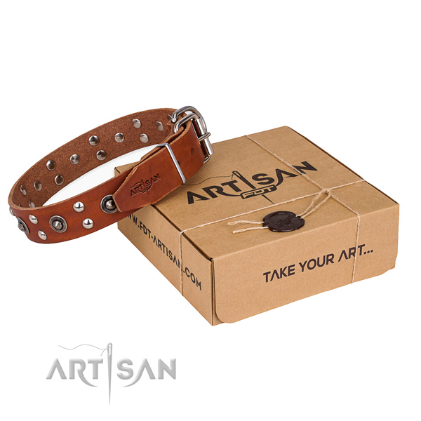 Corrosion resistant D-ring on leather collar for your handsome pet