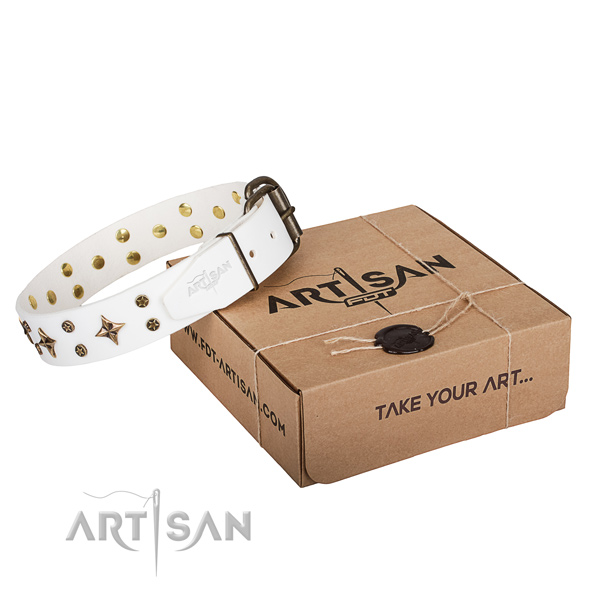 Comfy wearing dog collar of strong full grain natural leather with adornments
