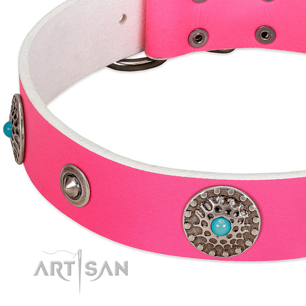 Studded collar of full grain leather for your handsome four-legged friend