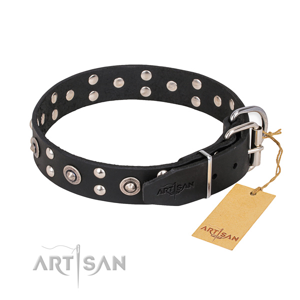 Full grain natural leather dog collar with unusual strong decorations