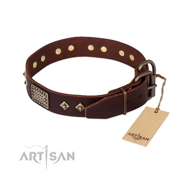 Leather dog collar with rust-proof fittings and adornments