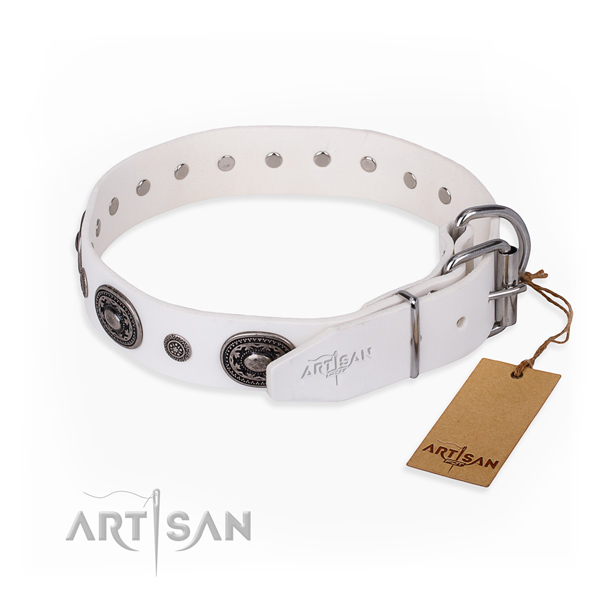 Best quality leather dog collar created for basic training