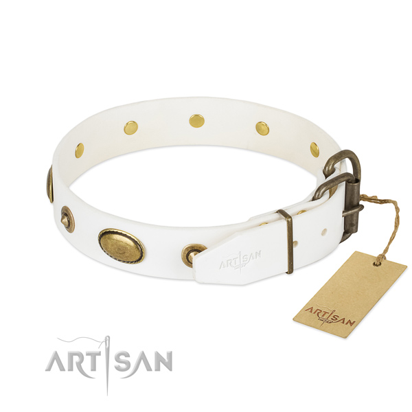 Strong studs on genuine leather dog collar for your canine