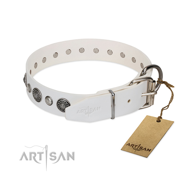 Soft to touch Full grain natural leather dog collar with rust-proof fittings