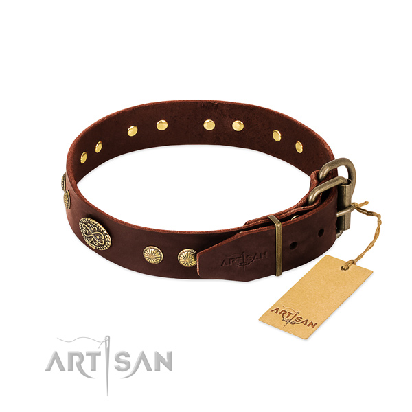 Strong adornments on leather dog collar for your pet