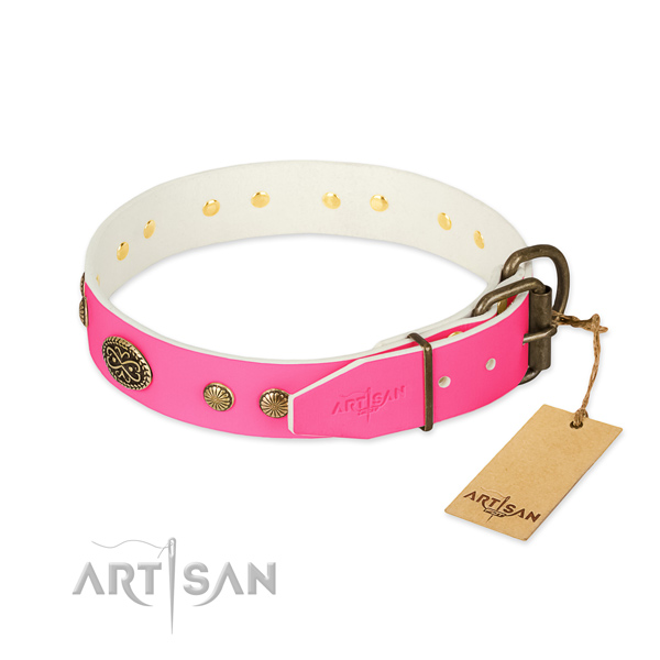 Reliable embellishments on natural leather dog collar for your canine