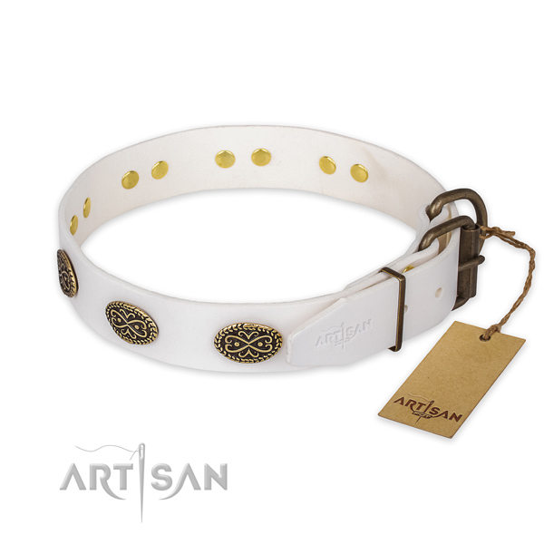Durable hardware on leather collar for stylish walking your canine
