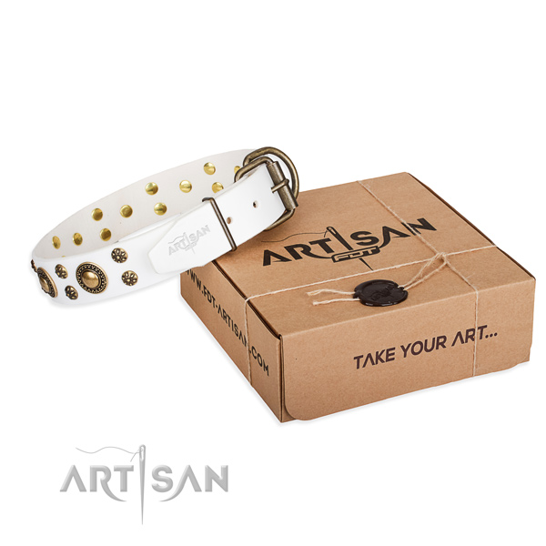 Everyday walking dog collar of fine quality genuine leather with decorations