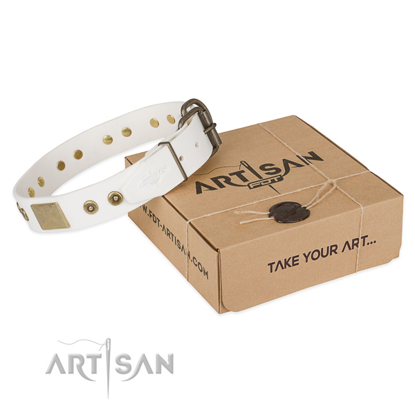 Rust resistant buckle on full grain leather dog collar for comfortable wearing