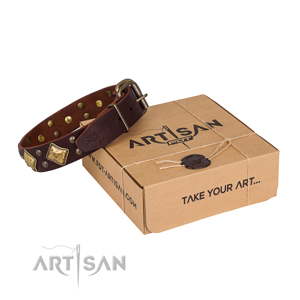 Comfortable wearing dog collar with Stunning durable studs