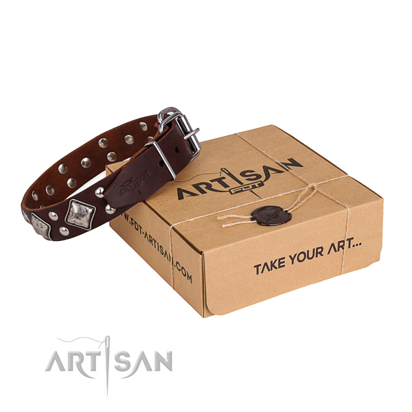 Stylish walking dog collar with Top notch corrosion resistant adornments