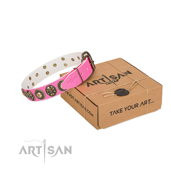 Corrosion proof studs on dog collar for walking