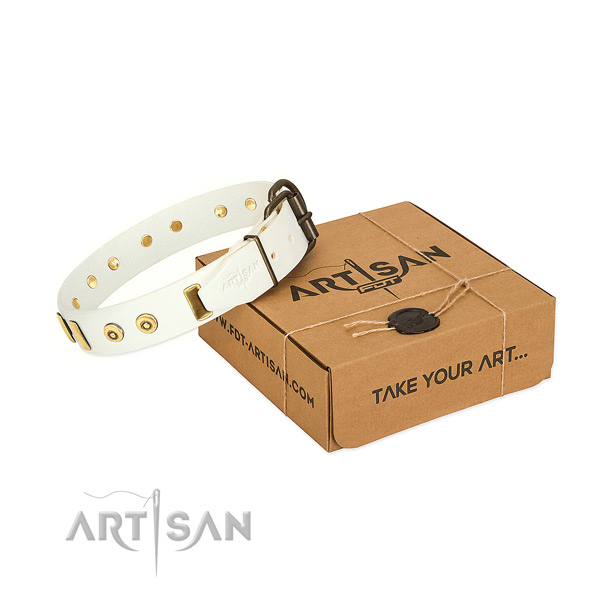 Leather dog collar with amazing embellishments for handy use