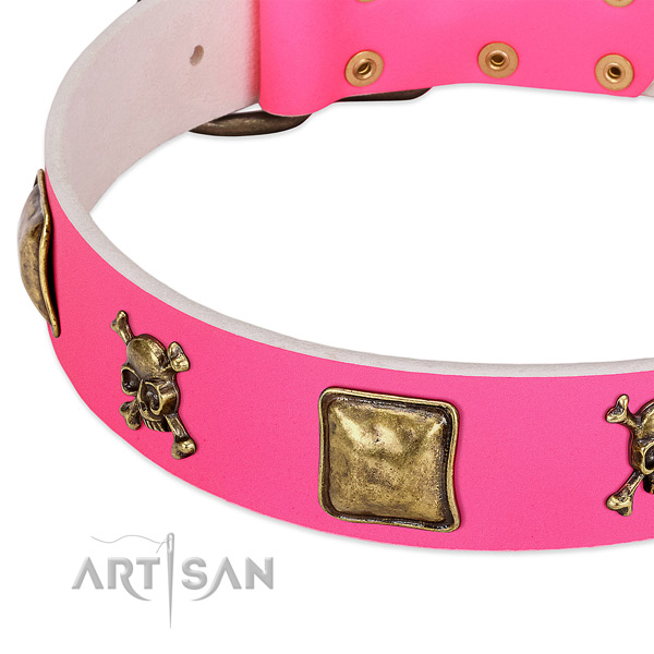Soft genuine leather dog collar with top notch embellishments