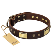 "Rich Fashion" FDT Artisan Decorated Leather English Pointer Collar with Plates and Studs