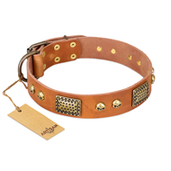 "Saucy Nature" FDT Artisan Tan Leather English Pointer Collar with Old Bronze Look Plates and Skulls