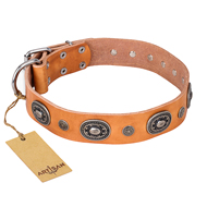 "Twinkle Twinkle" FDT Artisan Incredible Studded Tan Leather English Pointer Collar