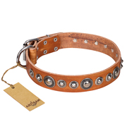 "Daily Chic" FDT Artisan Tan Leather English Pointer Collar with Decorations