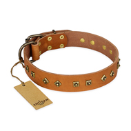 "Autumn Story" FDT Artisan Leather English Pointer Collar with Old Bronze Look Studs